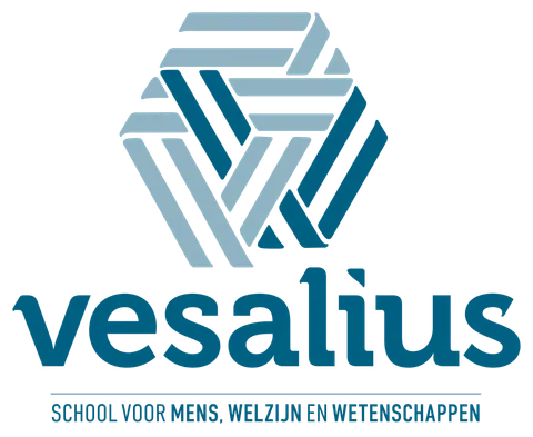 Vesalius logo